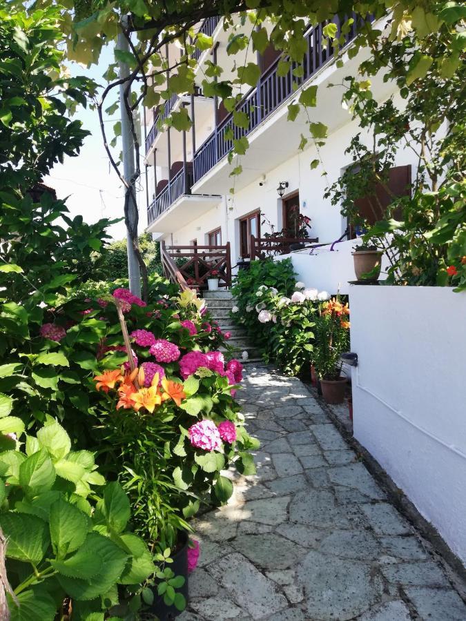 Hotel Erato Chorefton Bagian luar foto