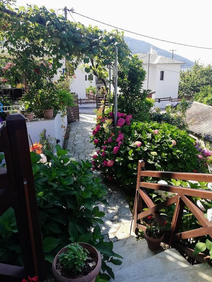 Hotel Erato Chorefton Bagian luar foto